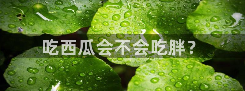 ccgg.ct今日吃瓜：吃西瓜会不会吃胖？