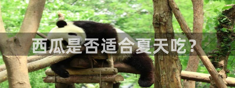 贝贝瓜可以炒着吃吗：西瓜是否适合夏天吃？
