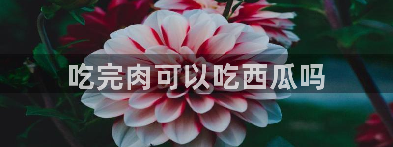 吃瓜电影：吃完肉可以吃西瓜吗