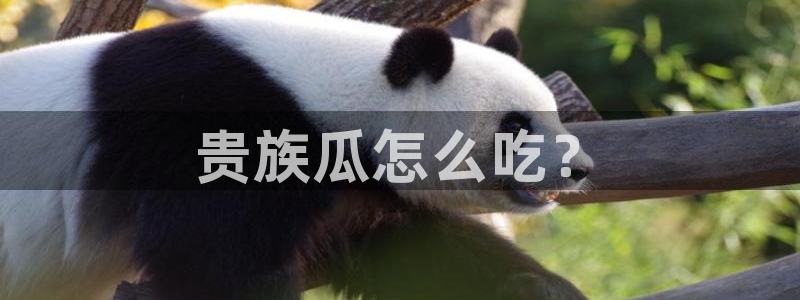cggolive吃瓜网：贵族瓜怎么吃？