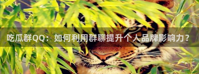51吃瓜今日必吃刀刀:吃瓜群QQ:如何利用群聊提升个人品牌影响力?