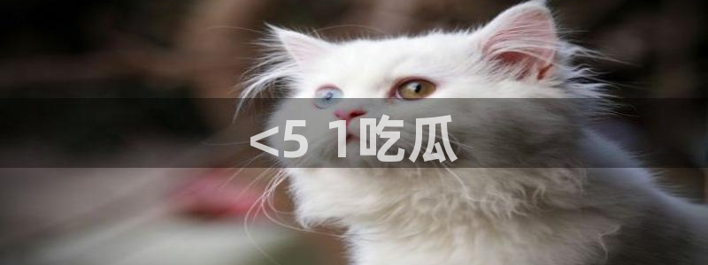 51吃瓜nanataipei:<5 1吃瓜
