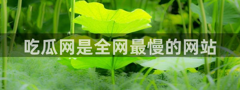51国产吃瓜在线今日吃瓜:吃瓜网是全网最慢的网站