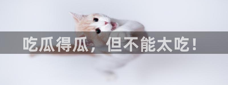 黑料专区