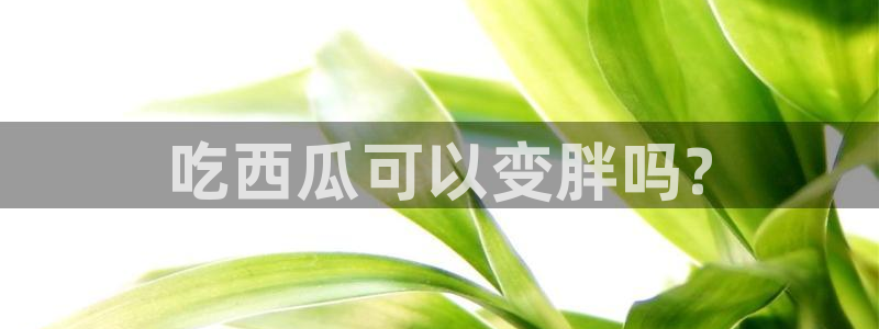 吃瓜胃酸怎么办：吃西瓜可以变胖吗?