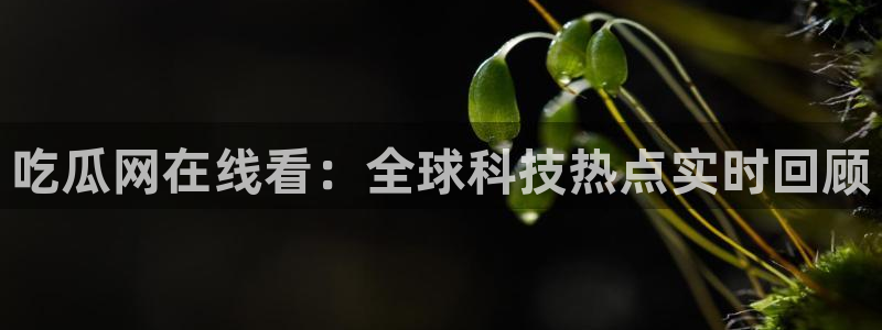 吃瓜喉咙痒怎么办：吃瓜网在线看：全球科技热点实时回顾