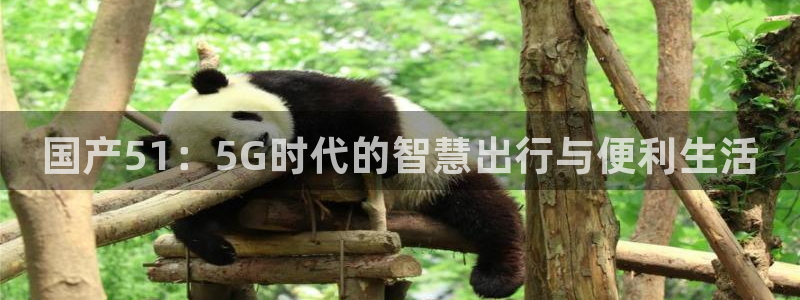 yourport吃瓜网:国产51:5G时代的智慧出行与便利生活