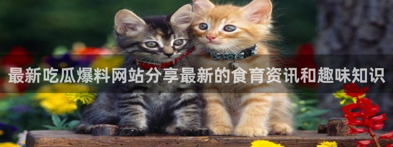 吃瓜胃酸怎么办：最新吃瓜爆料网站分享最新的食育资讯和趣味知识