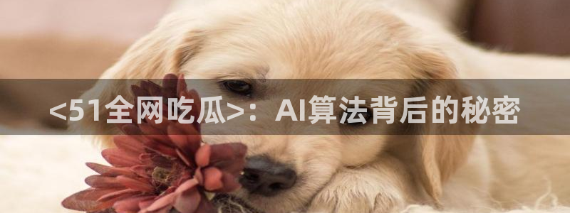 51cgfun吃瓜网怎么进：<51全网吃瓜>：AI算法背后的秘密
