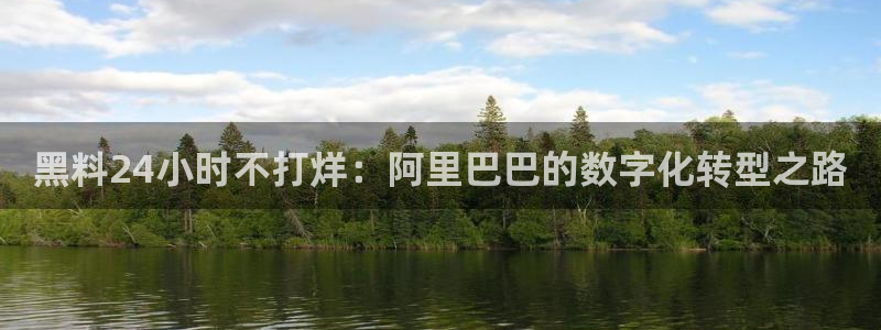吃瓜网今日吃瓜 热门大瓜：黑料24小时不打烊：阿里巴巴的数字化转型之路