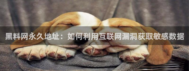 91吃瓜网今日大瓜热门大瓜：黑料网永久地址：如何利用互联网漏洞获取敏感数据