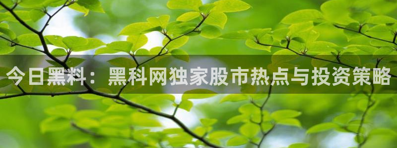 51吃瓜 张津瑜 网：今日黑料：黑科网独家股市热点与投资策略