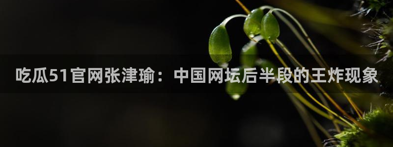 www.黑料.com:吃瓜51官网张津瑜:中国网坛后半段的王炸现象