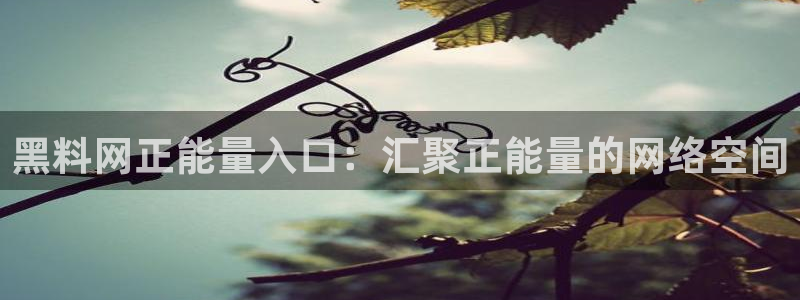 长生武道从九龙夺嫡开始吃瓜：黑料网正能量入口：汇聚正能量的网络空间