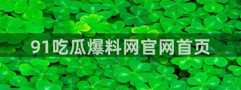 黑料专区：91吃瓜爆料网官网首页