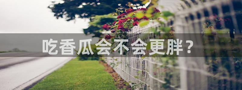 吃瓜.：吃香瓜会不会更胖？