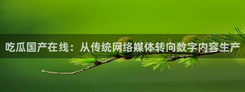 51热门大瓜今日吃瓜:吃瓜国产在线:从传统网络媒体转向数字内容生产